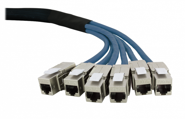 RZ-Trunkkabel – beidseitig 6 × RJ45 – Cat. 6A – Länge: 2, 0m